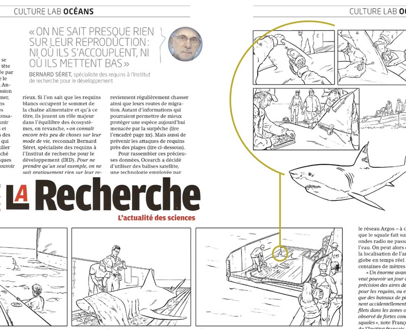 Illustrations corporate bande dessinée