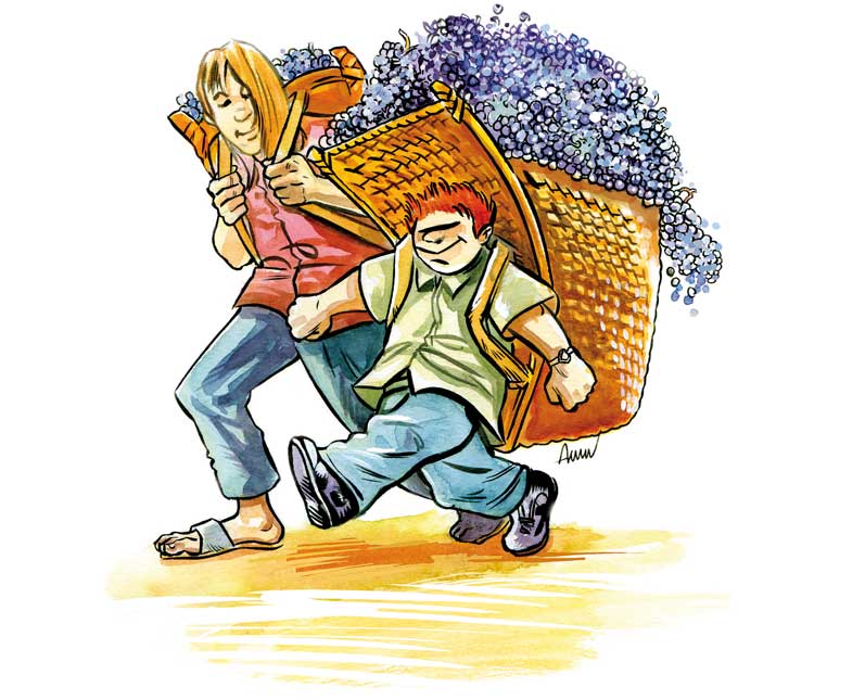 Jean-Paul Aussel - illustration jeunesse, illustration humour